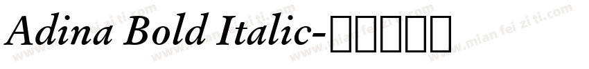 Adina Bold Italic字体转换